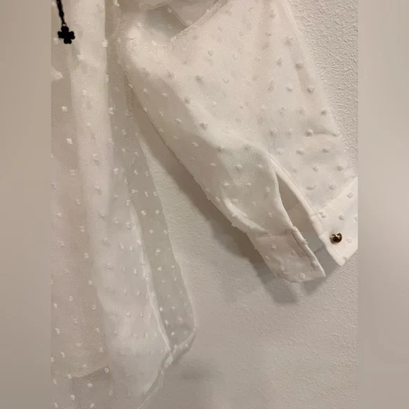 Elegant Dainty Jewells Sheer White Blouse with Bow - Picture 4 of 7